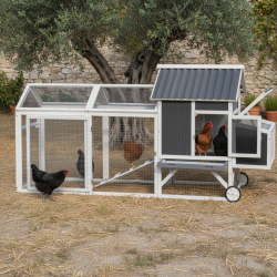 Hühnerstall aus thermobehandeltem FSC-Holz 224x81x107cm mit PVC-Dach für 4 bis 6 Hühner - Shelty Pet